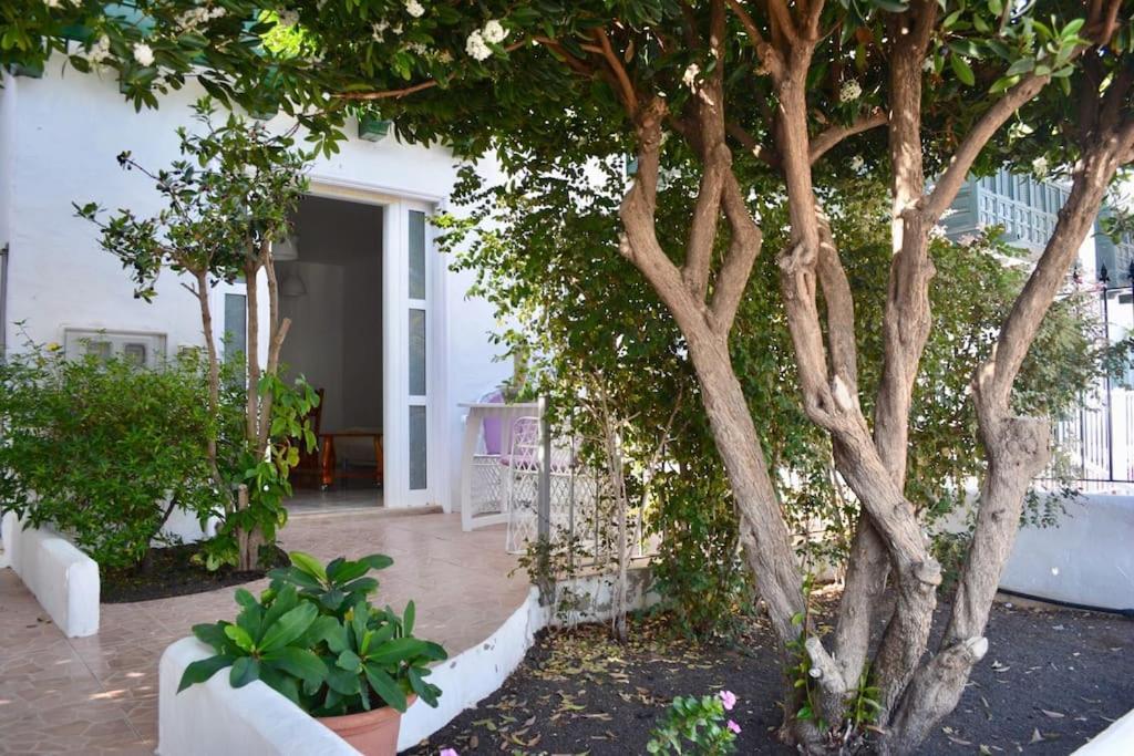 Playa Chica Apt With Terrace 100 M From The Sea Пуэрто дель Кармен Экстерьер фото